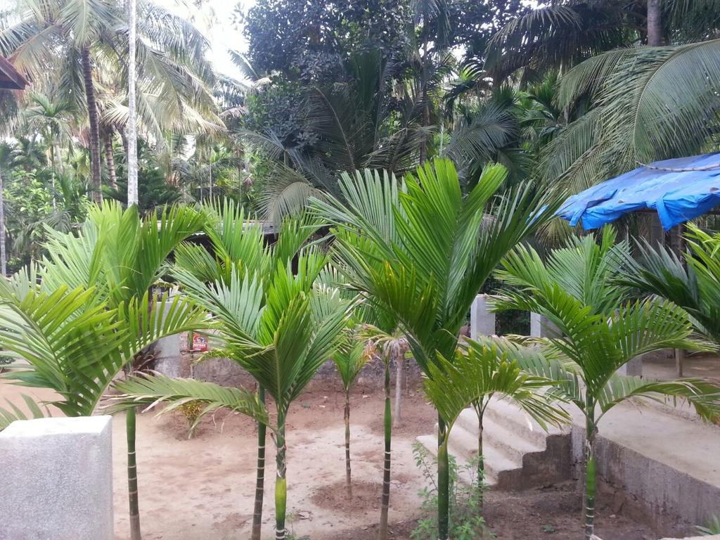 Tendulkar Beach Resort Diveāgar Zewnętrze zdjęcie